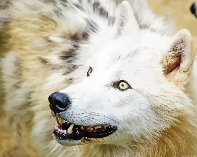 Close Up Arctic Wolf Painting By Numberss.png
