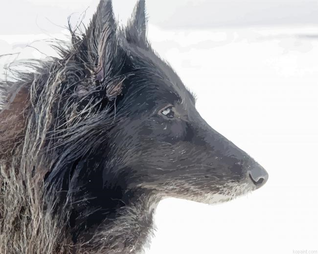 Close Up Black Ice Wolf Painting By Numberss.png