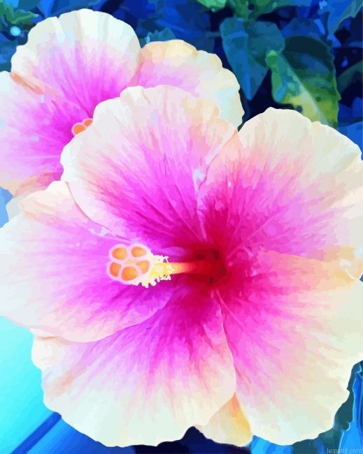 Close Up Flower Paint By Numbers
