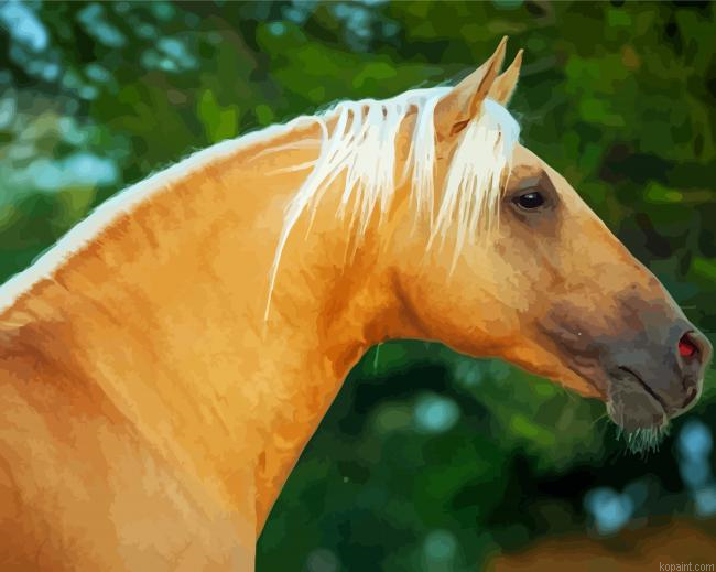 Close Up Golden Andalusian Painting By Numberss.png