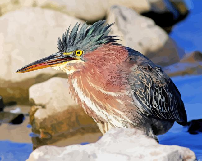Close Up Green Heron Painting By Numberss.png