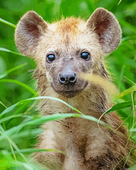 Close Up Little Spotted Hyena Painting By Numberss.png
