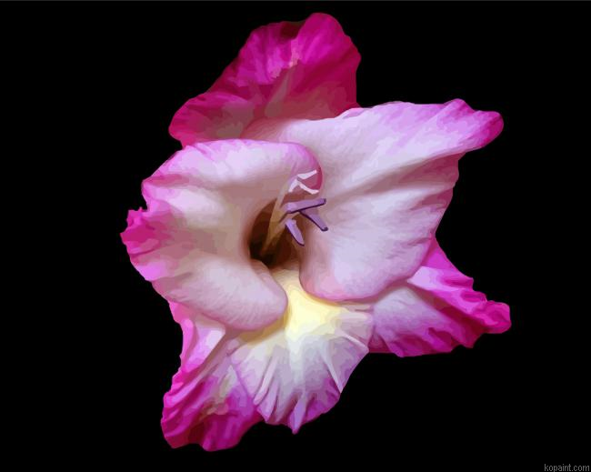 Close Up Pink Gladiola Painting By Numberss.png