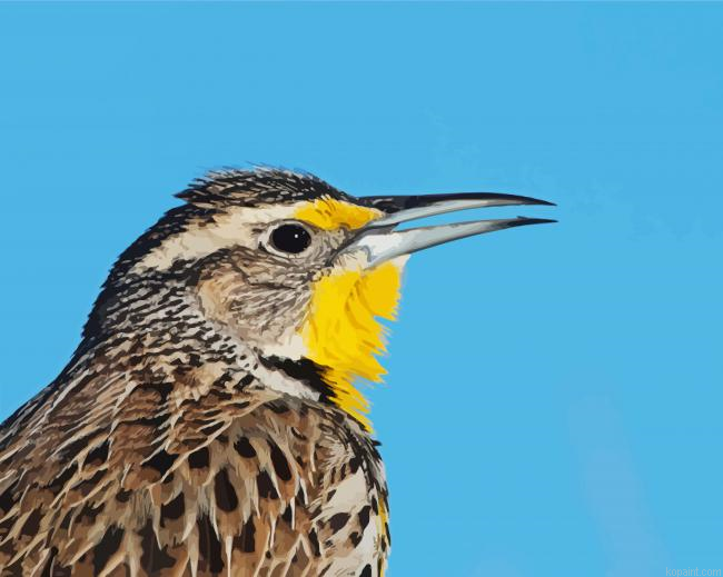 Close Up Western Meadowlark Painting By Numberss.png