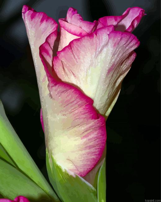 Closed Gladiola Painting By Numberss.png