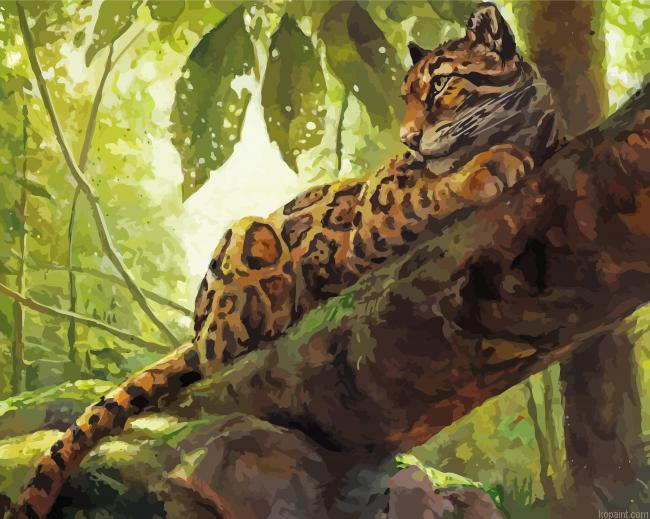 Clouded Leopard Painting By Numberss.png