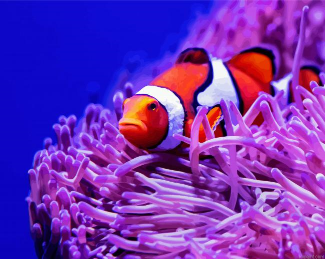 Clown Fish And Anemones Painting By Numberss.png
