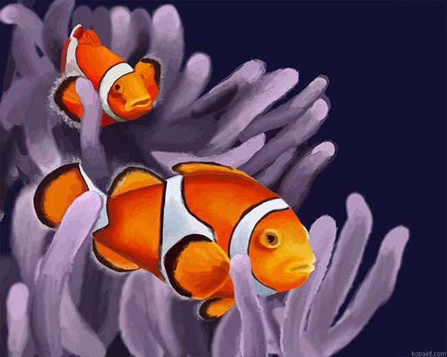 Clownfish Painting By Numberss.png