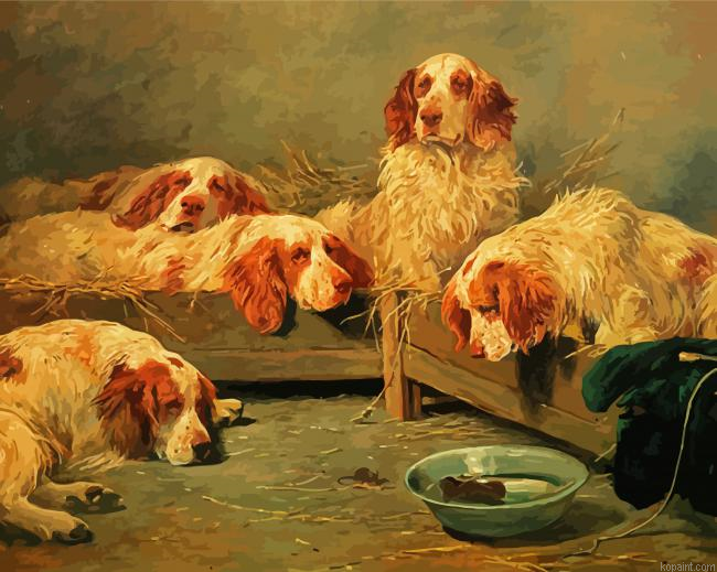 Clumber Spaniel Dogs Painting By Numberss.png