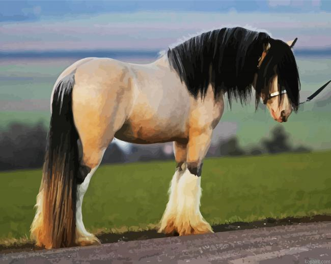 Clydesdale Painting By Numberss.png