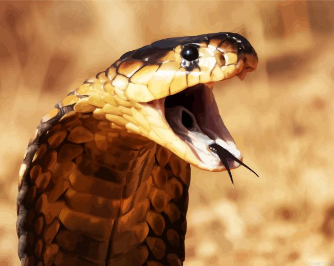 Cobra Snake Painting By Numberss.png