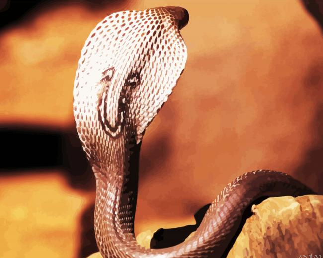 Cobra Snake Reptile Painting By Numberss.png