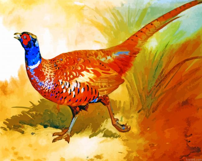 Cock Pheasant Painting By Numberss.png