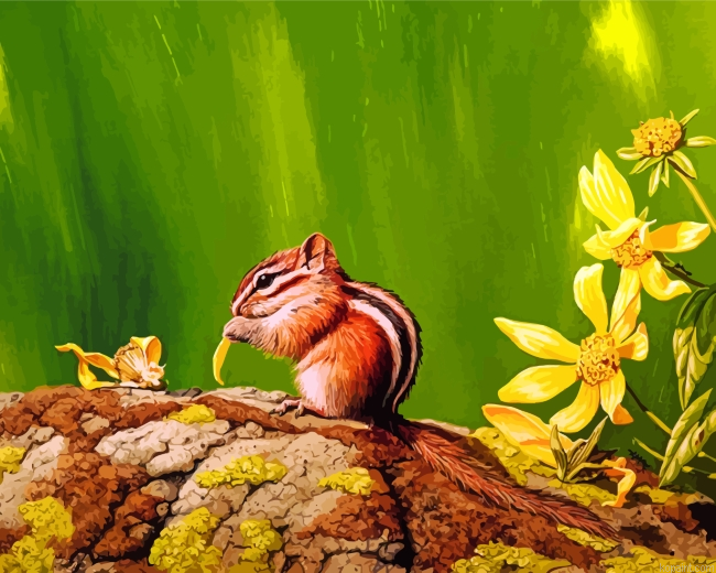 Colorado Chipmunk Painting By Numberss.png