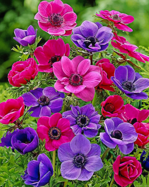 Colorful Anemone Painting By Numberss.png