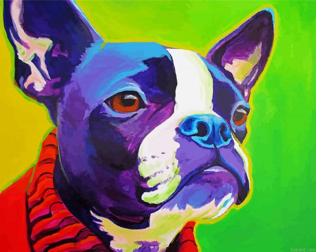 Colorful Boston Terrier Dog Painting By Numberss.png