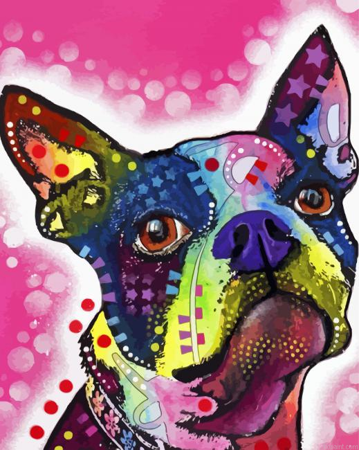 Colorful Boston Terrier Paint By Numbers