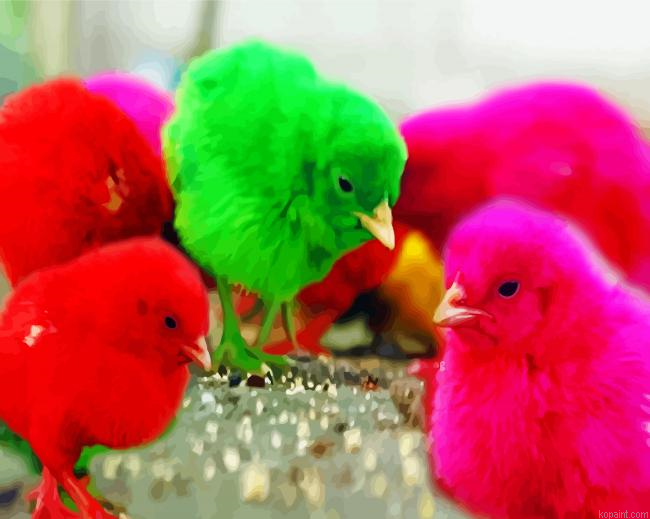 Colorful Chickens Painting By Numberss.png