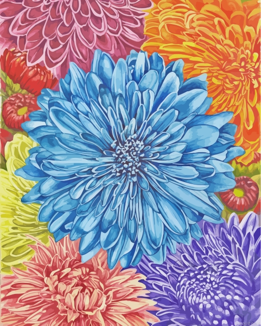 Colorful Chrysanthemum Painting By Numberss.png