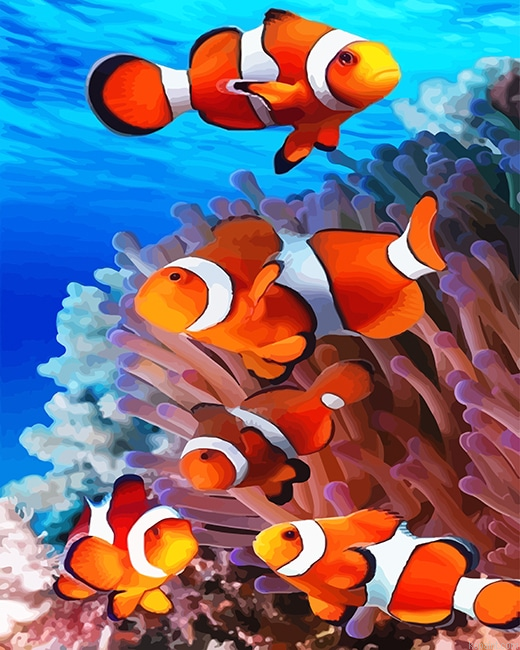 Colorful Clown Fish New Painting By Numberss.png