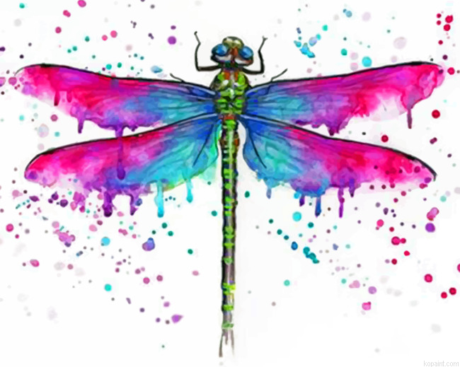 Colorful Dragonfly Painting By Numberss.png