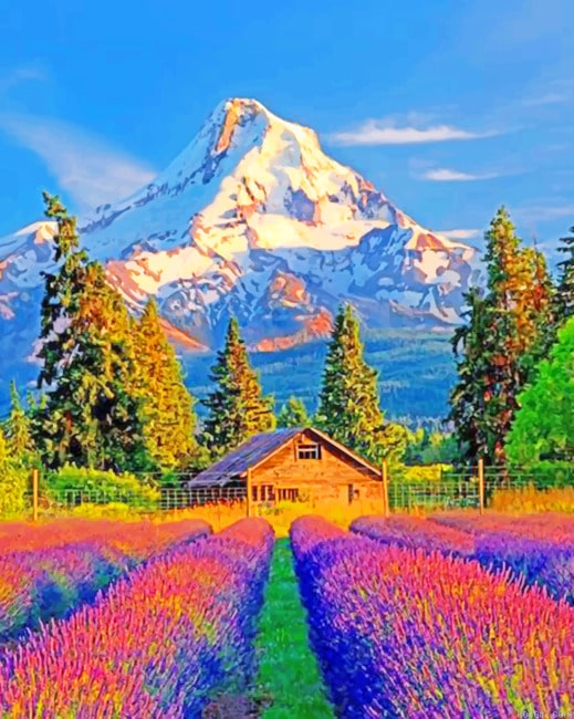 Colorful Fields And Mountains Landscape Painting By Numberss.png