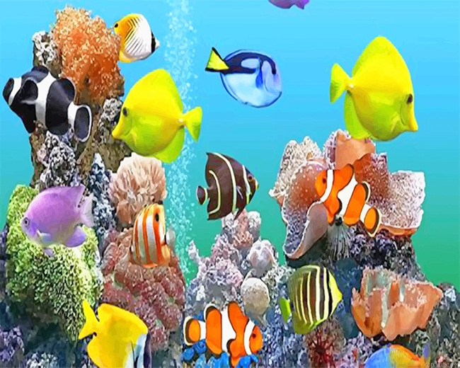 Colorful Fishes Deep Sea Painting By Numberss.png