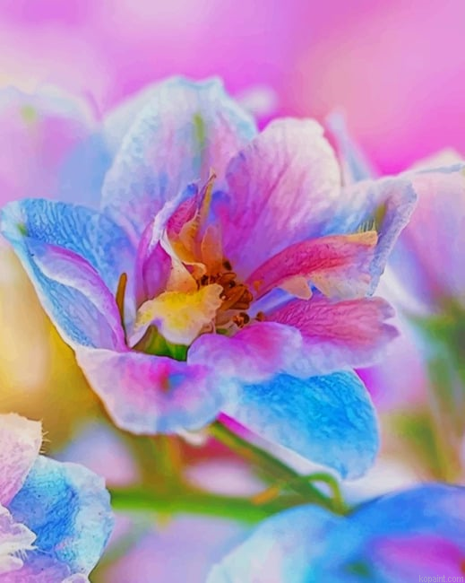 Colorful Flower New Painting By Numberss.png