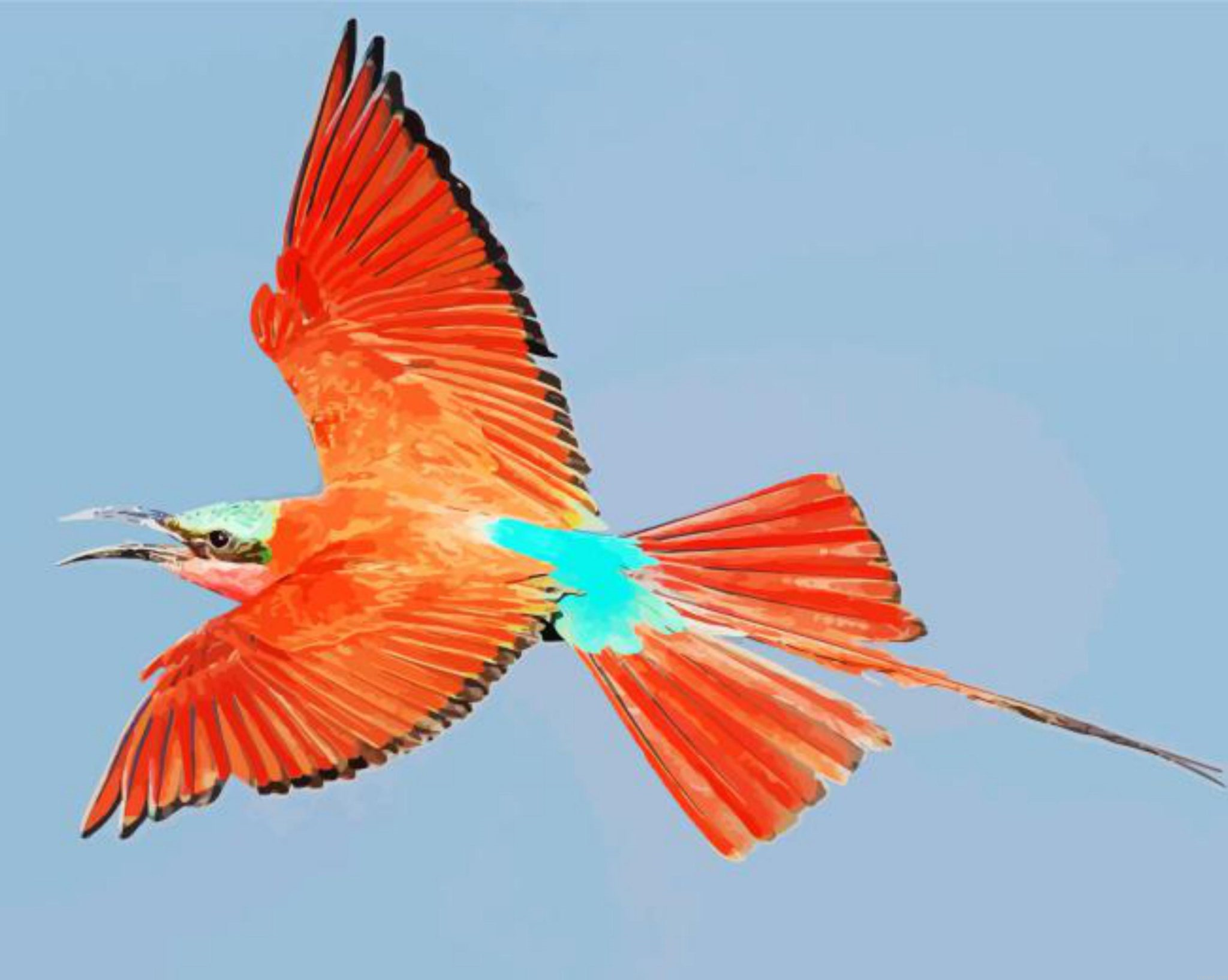 Colorful Flying Southern Carmine Bee Eater Painting By Numberss.png