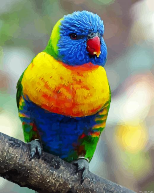 Colorful Green Cheek Bird Painting By Numberss.png