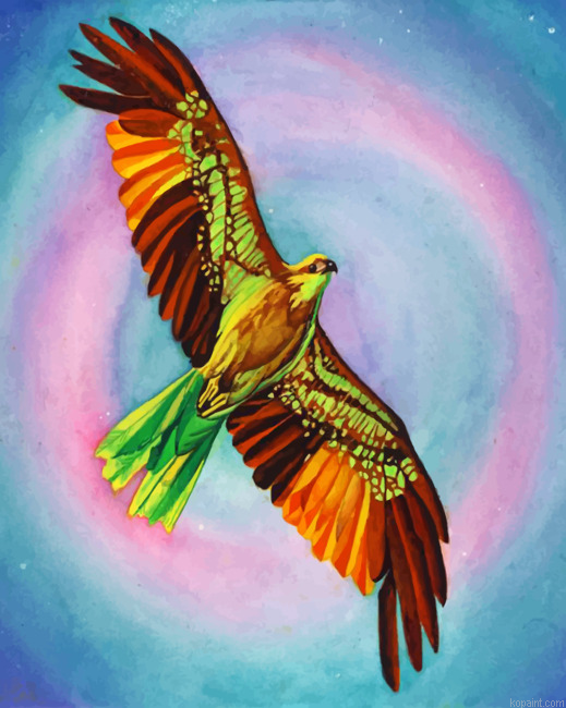 Colorful Hawk Bird Painting By Numberss.png