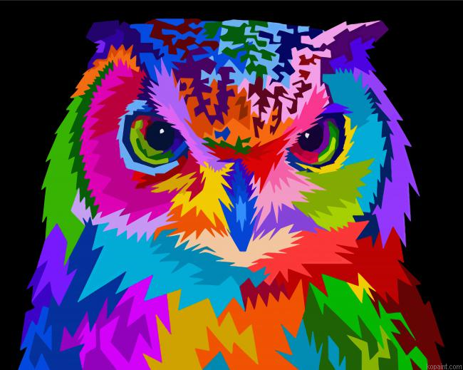 Colorful Manada Strix Painting By Numberss.png