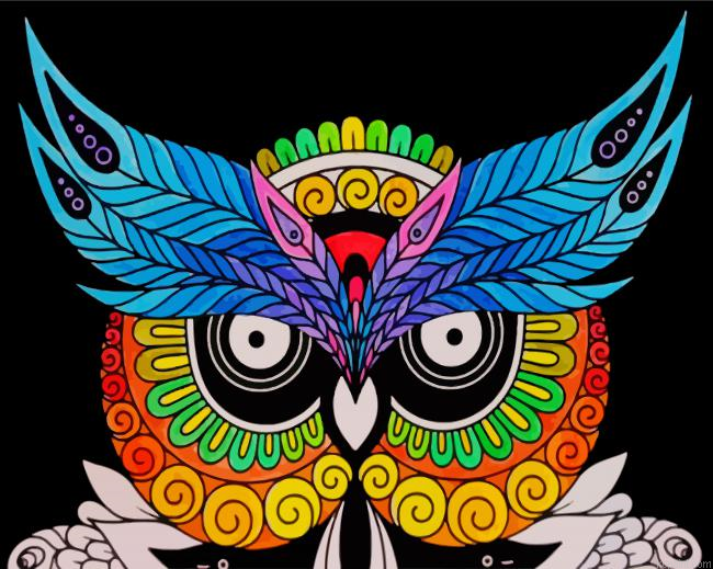 Colorful Mandala Night Bird Painting By Numberss.png