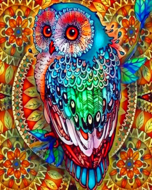 Colorful Mandala Owl Painting By Numberss.png