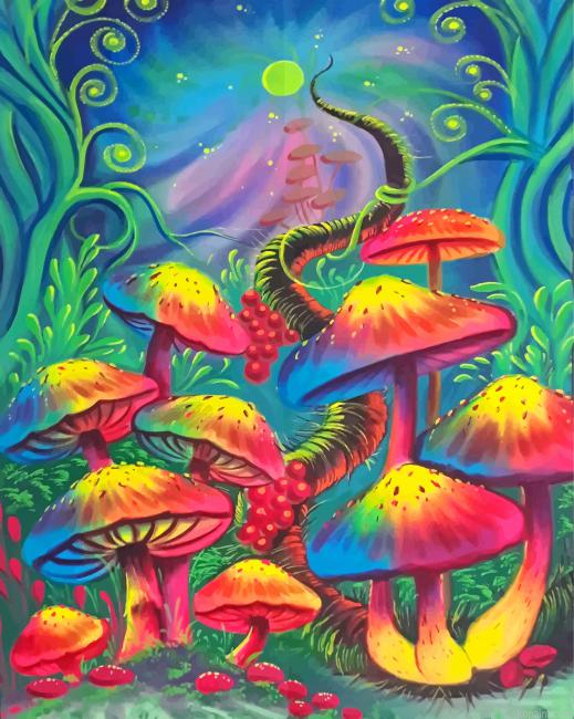 Colorful Mushrooms Painting By Numberss.png