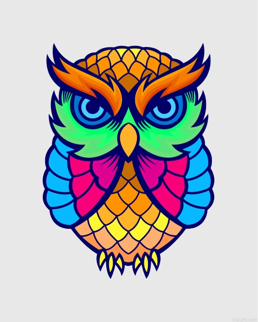 Colorful Owl Painting By Numberss.png
