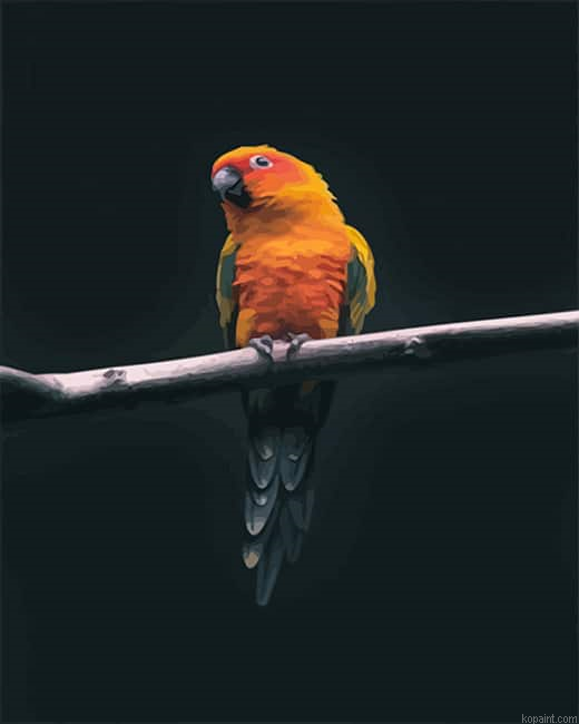 Colorful Parrot- Paint By Numbers