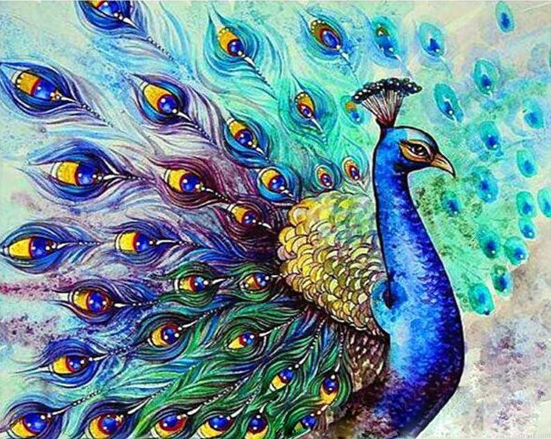 Colorful Peacock Birds Paint By Numbers
