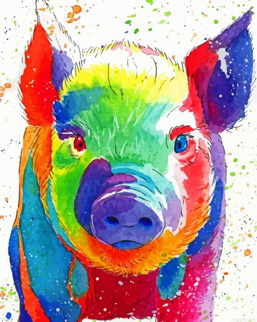 Colorful Pig Animal Painting By Numberss.png