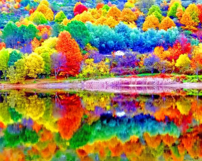 Colorful Trees Autumn New Painting By Numberss.png