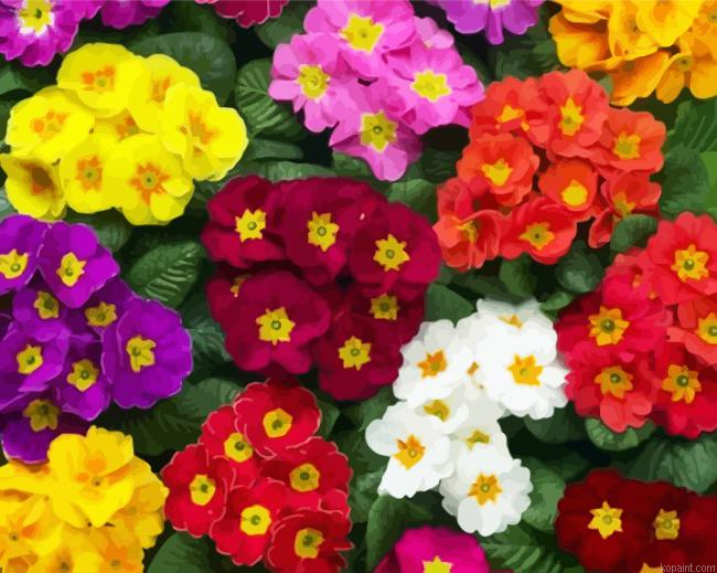 Colroful Primroses Painting By Numberss.png