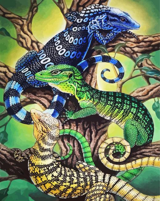 Common Chameleons Paint By Numbers.png