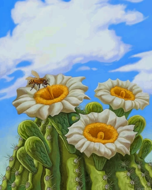 Common Daisy New Painting By Numberss.png