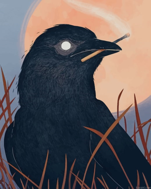 Common Raven Bird New Painting By Numberss.png