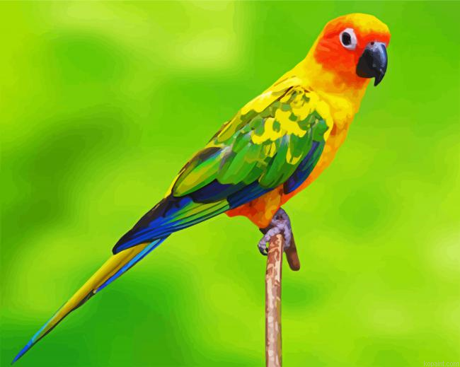 Conure Bird Painting By Numberss.png