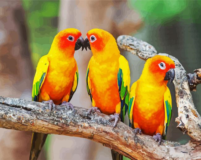 Conure Birds Painting By Numberss.png