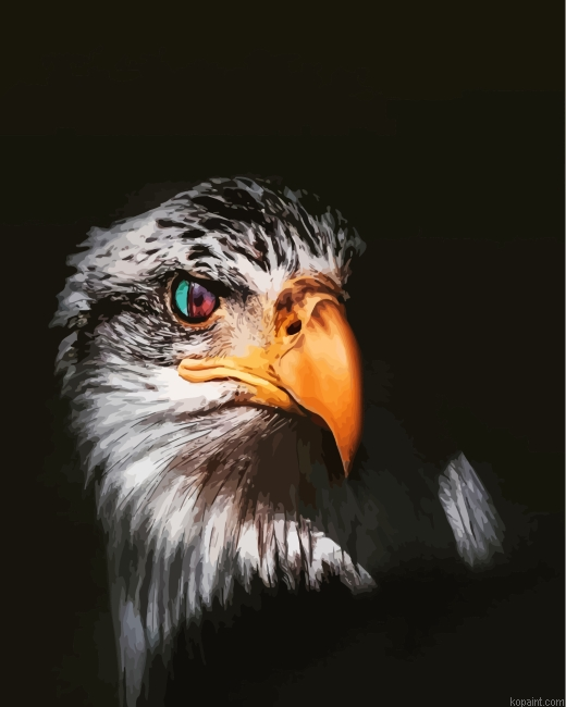 Cool Eagle Eyes Paint By Numbers