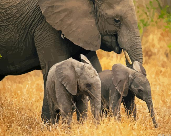 Cool Elephant And Two Babies Painting By Numberss.png