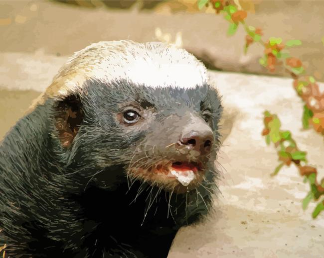 Cool Honey Badger Painting By Numberss.png