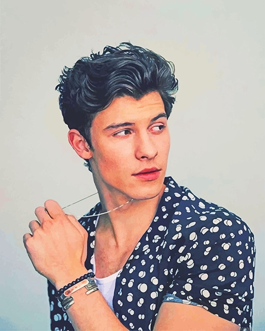Cool Shawn Mendes New Painting By Numberss.png